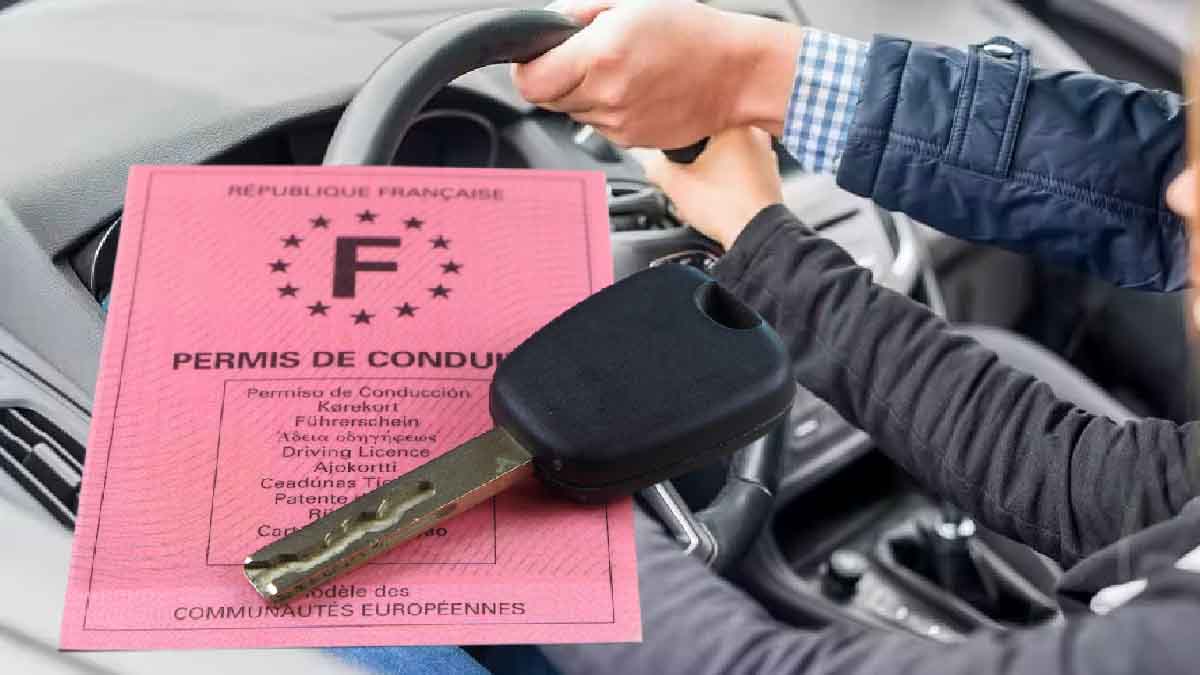 permis de conduire cpf